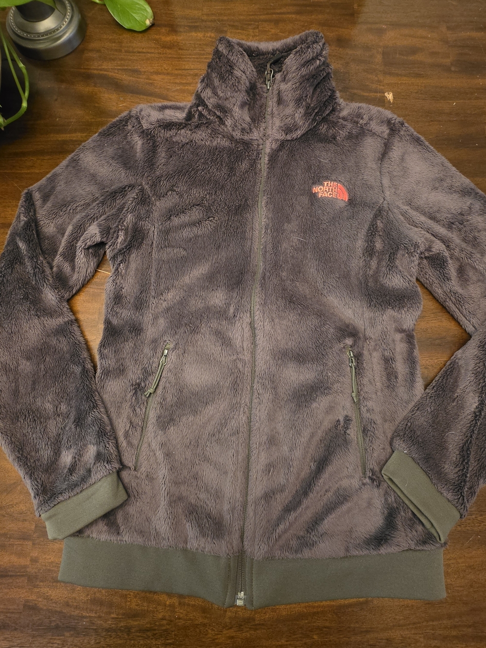 The North Face Never Stop Exploring Fuzzy Teddy Fleece Jacket Brown